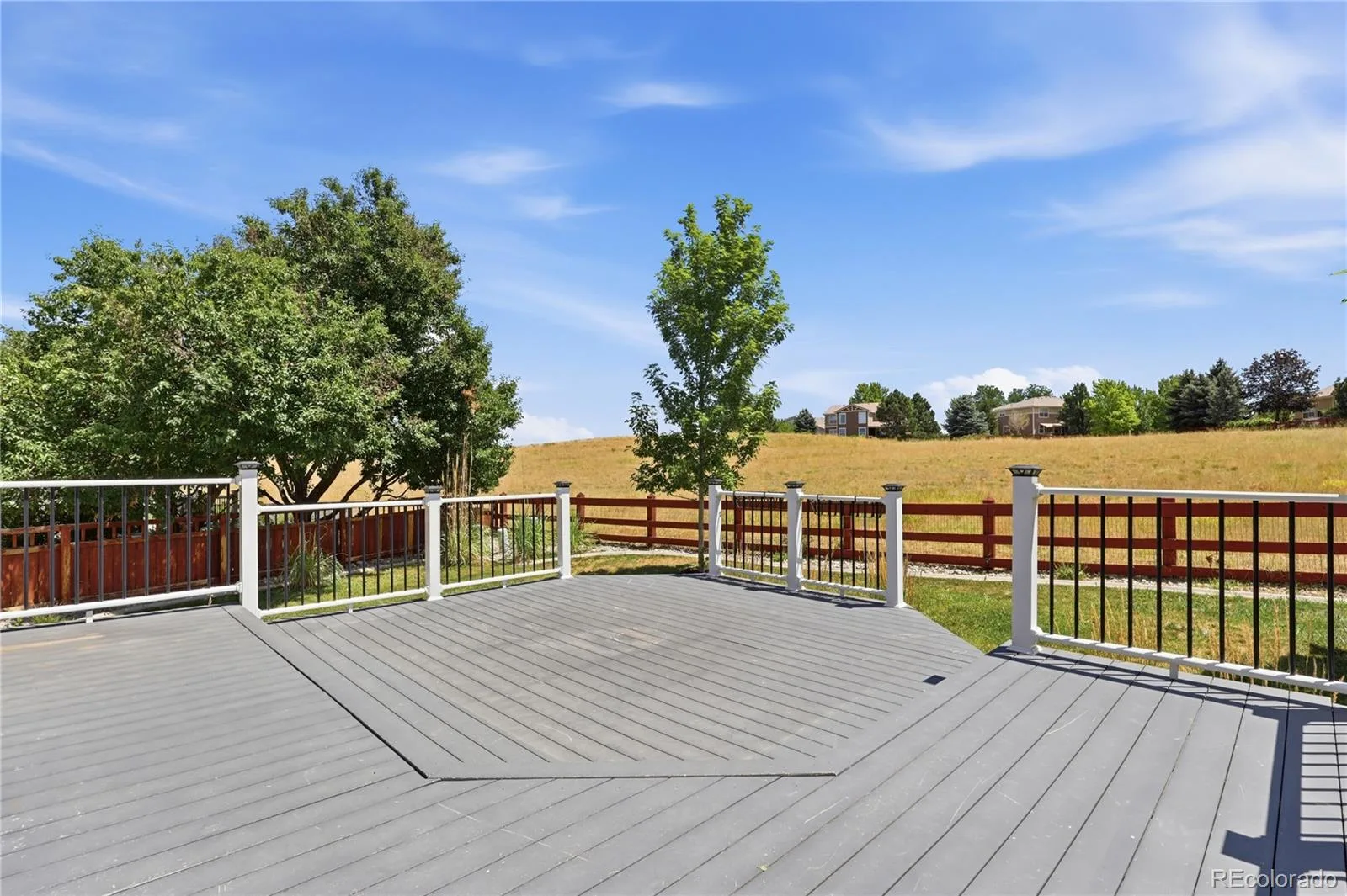3678 Sunridge Terrace Drive Castle Rock CO 80109 | MLS #REC9105097 08062026014901 1600 32