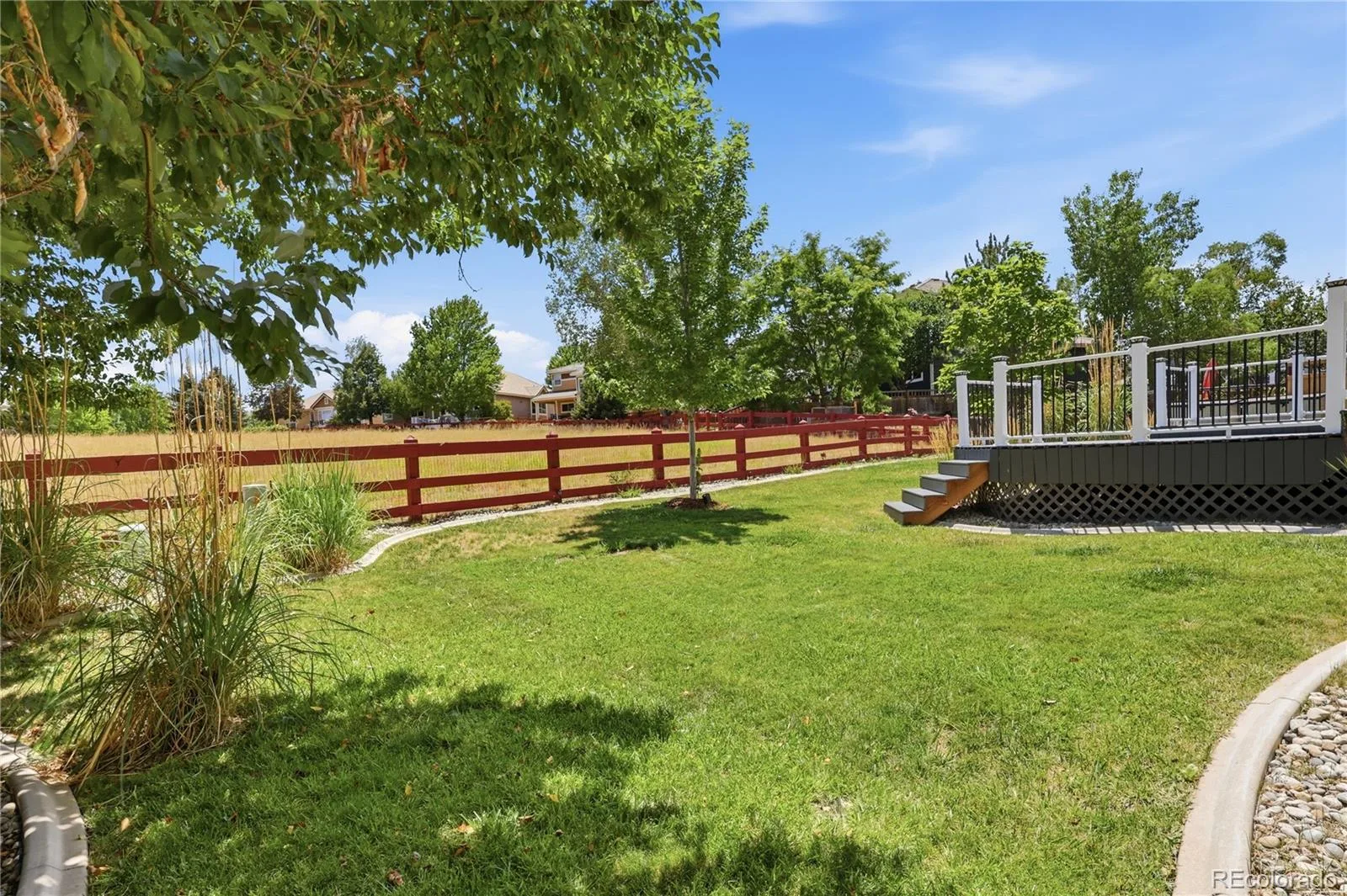 3678 Sunridge Terrace Drive Castle Rock CO 80109 | MLS #REC9105097 08062026014901 1600 33