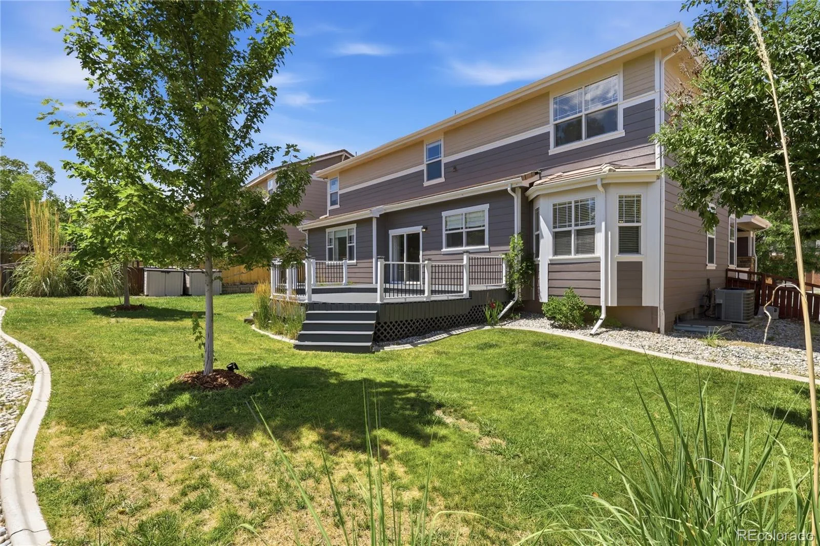 3678 Sunridge Terrace Drive Castle Rock CO 80109 | MLS #REC9105097 08062026014901 1600 34