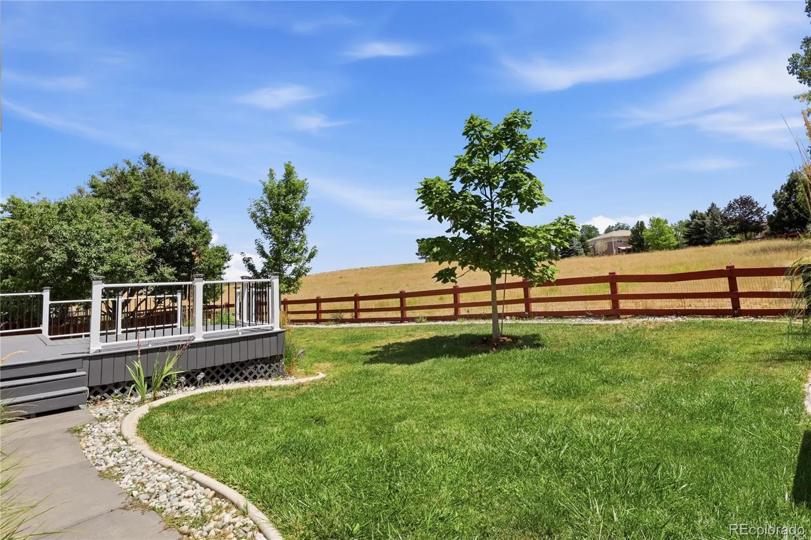 3678 Sunridge Terrace Drive Castle Rock CO 80109 | MLS #REC9105097 08062026014901 1600 35