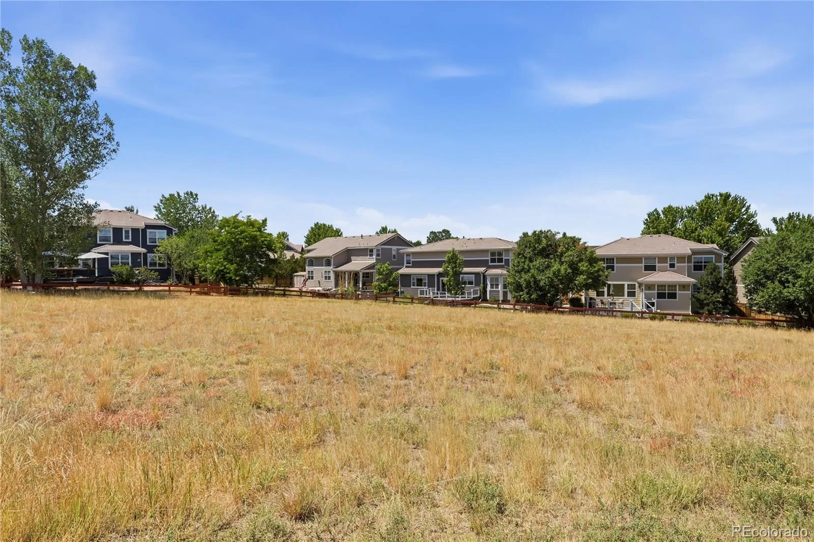 3678 Sunridge Terrace Drive Castle Rock CO 80109 | MLS #REC9105097 08062026014901 1600 37