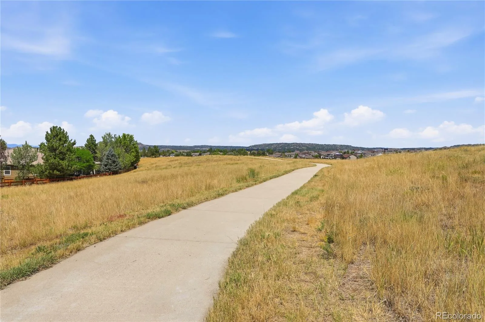 3678 Sunridge Terrace Drive Castle Rock CO 80109 | MLS #REC9105097 08062026014901 1600 38