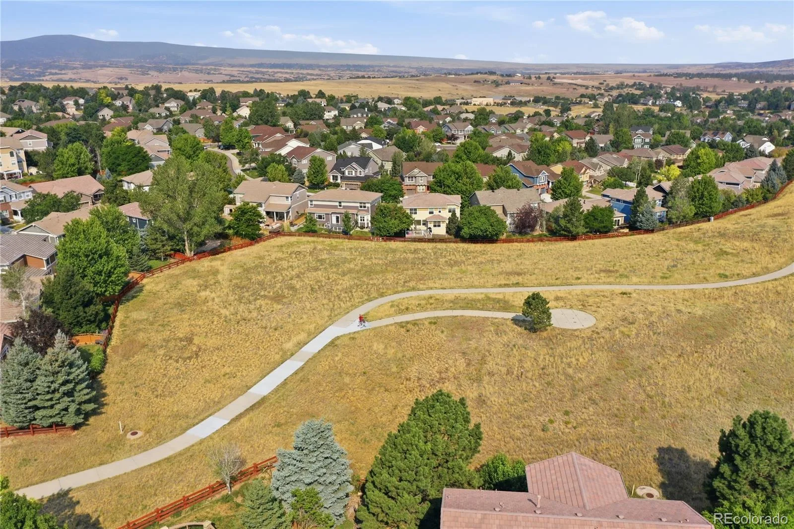 3678 Sunridge Terrace Drive Castle Rock CO 80109 | MLS #REC9105097 08062026014901 1600 46