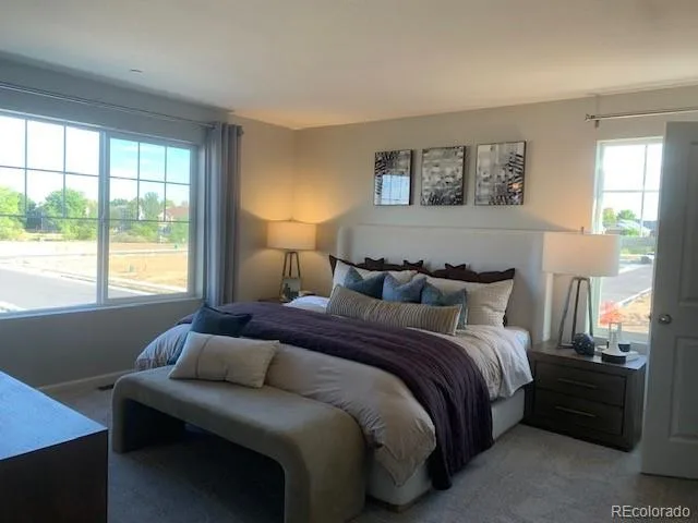 280 Nighthawk Street Erie CO 80516 | MLS #REC9109497 07182026151538 640 24