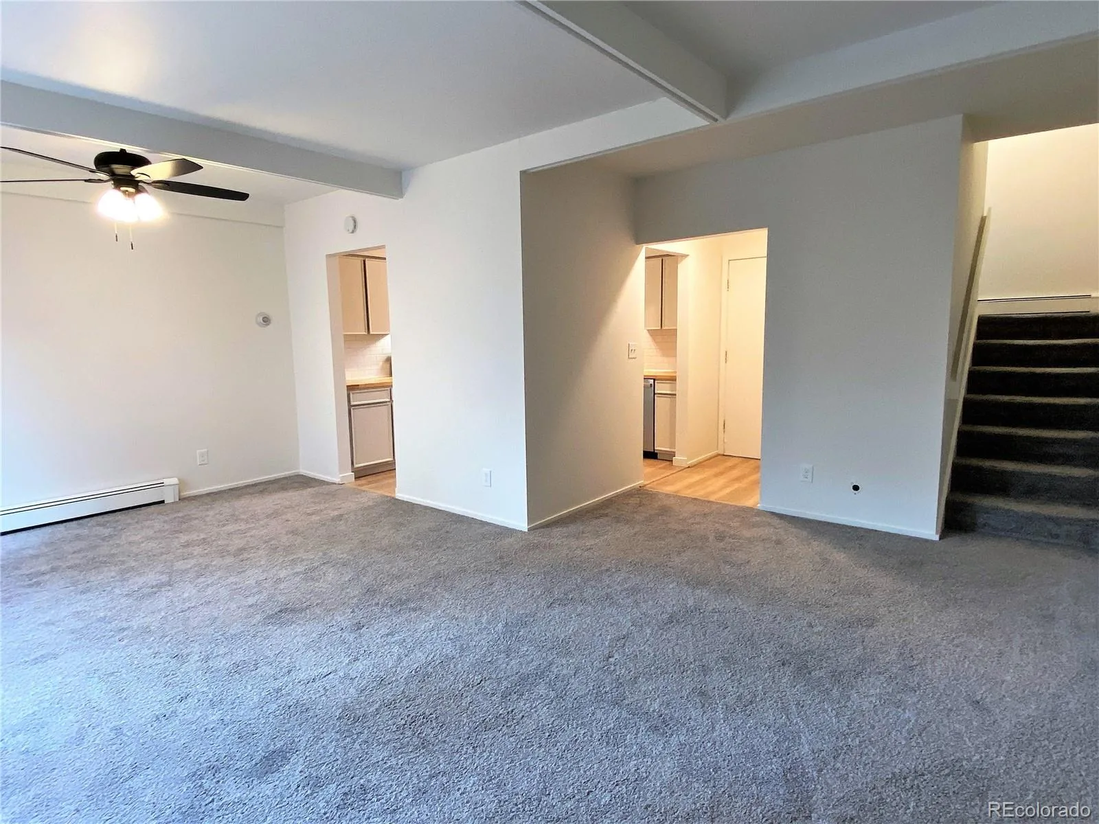 28003 Iris Drive Evergreen CO 80439 | MLS #REC9113908 08222026140217 1600 13