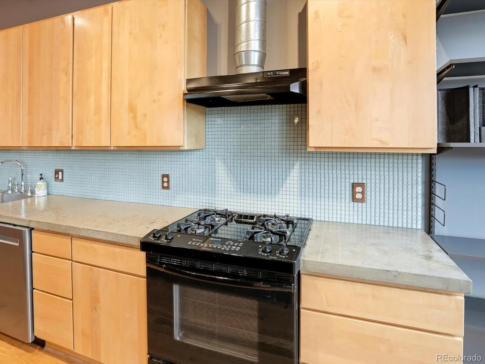 2955 Inca Street #3A Denver CO 80202 | MLS #REC9114601 08052026004927 1600 18