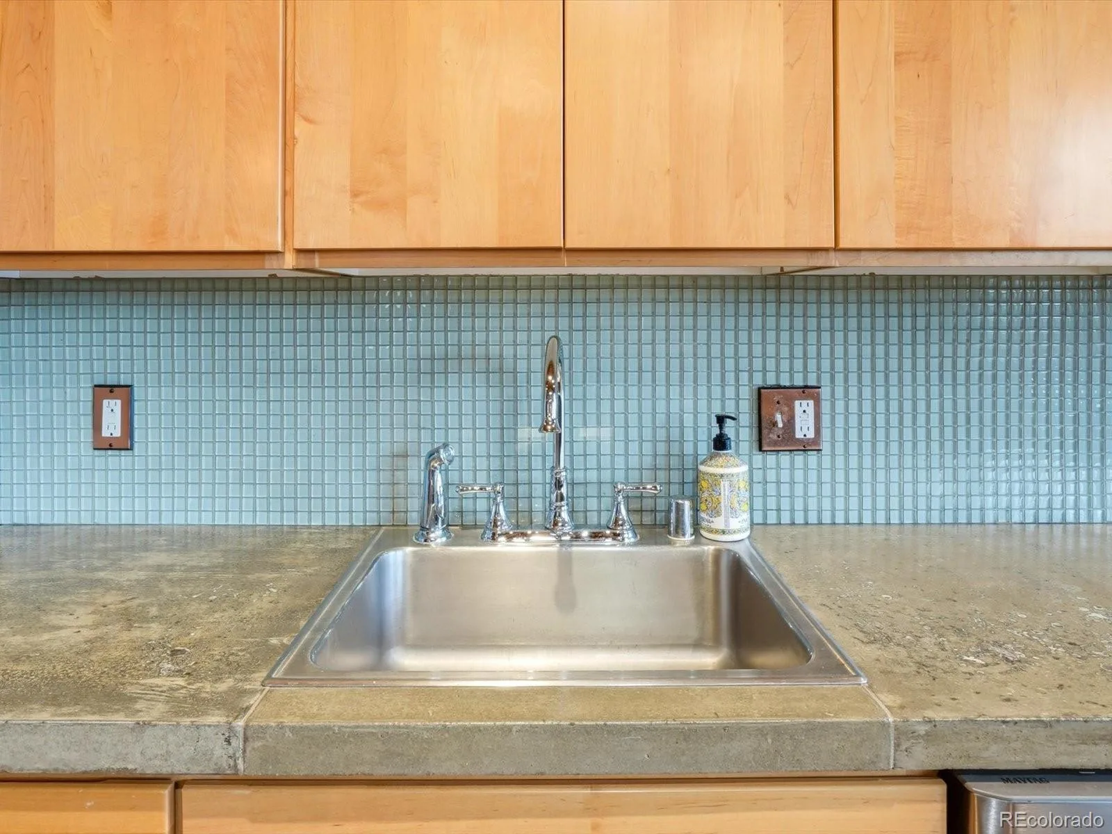 2955 Inca Street #3A Denver CO 80202 | MLS #REC9114601 08052026004927 1600 19