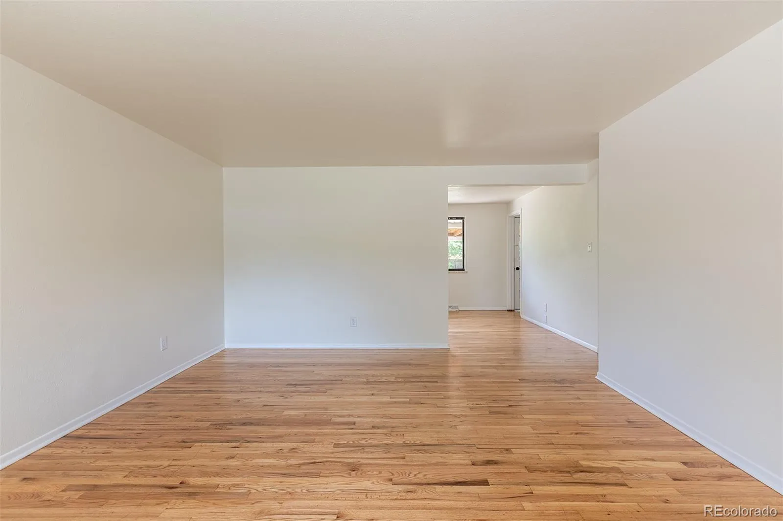 04012026185107 1600 5