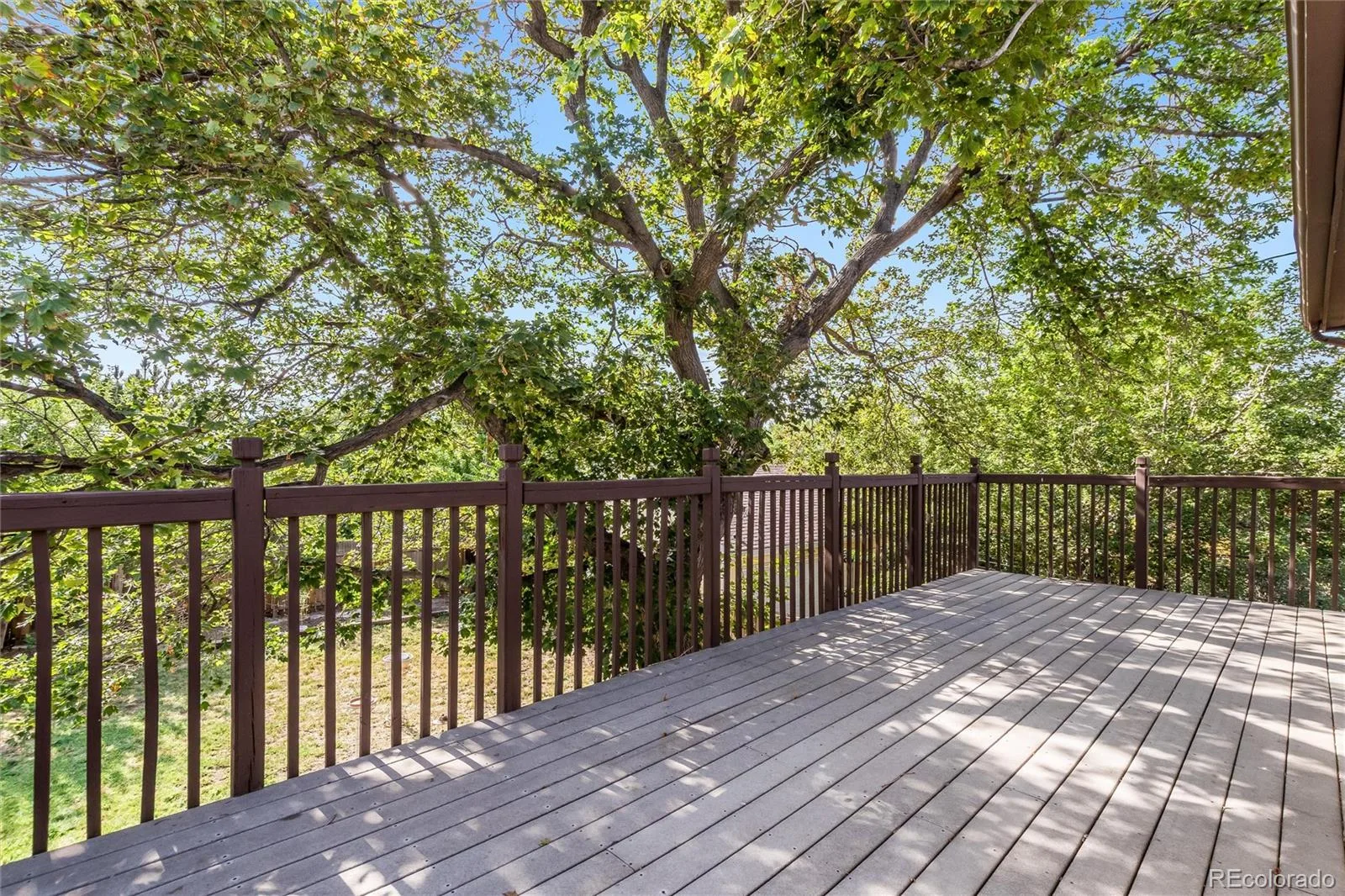 3481 S Elm Street Denver CO 80222 | MLS #REC9117979 07182026005009 1600 32