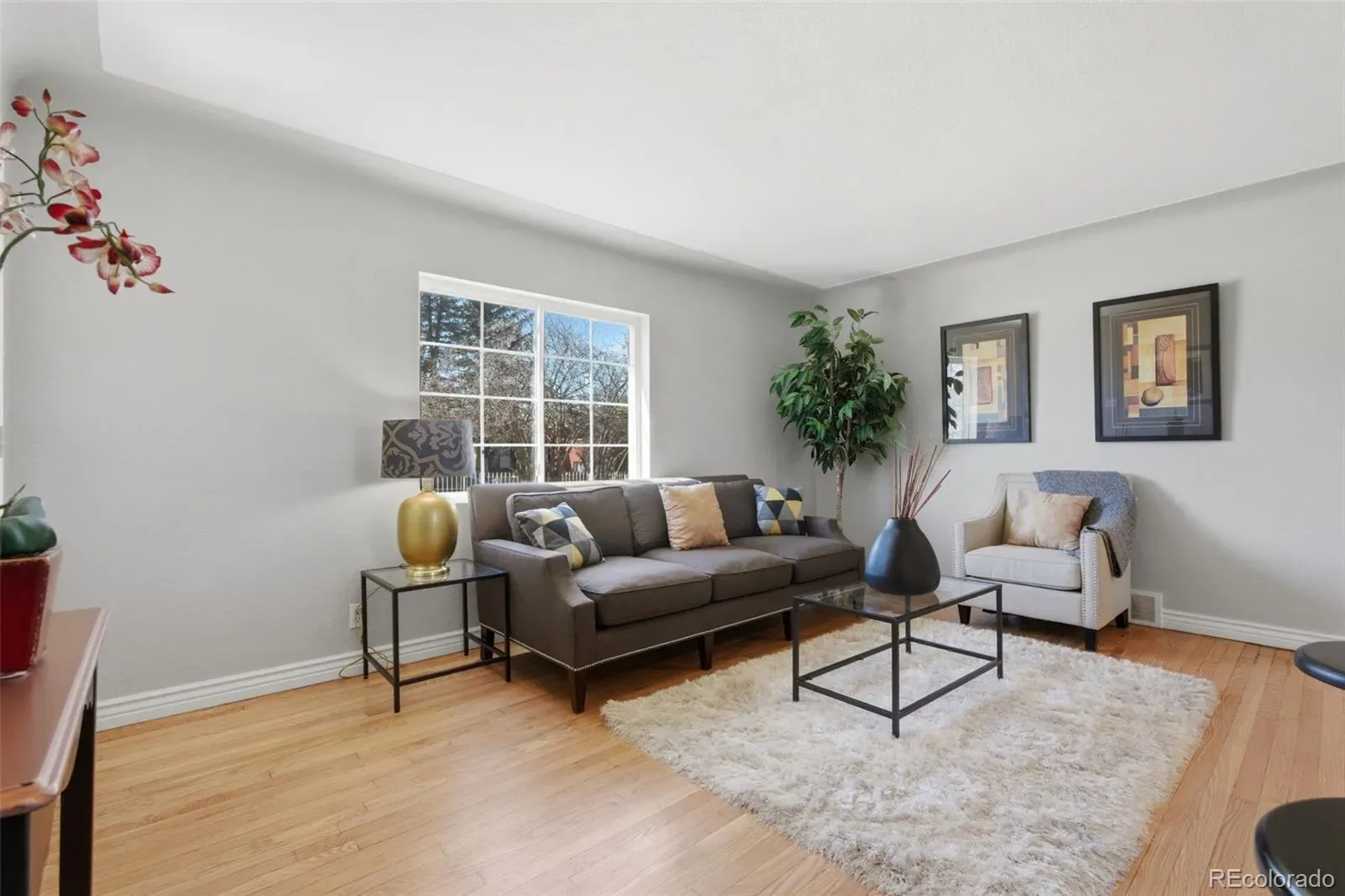 1372 Lima Street Aurora CO 80010 MLS #REC9122389 03252026012013 1600 22