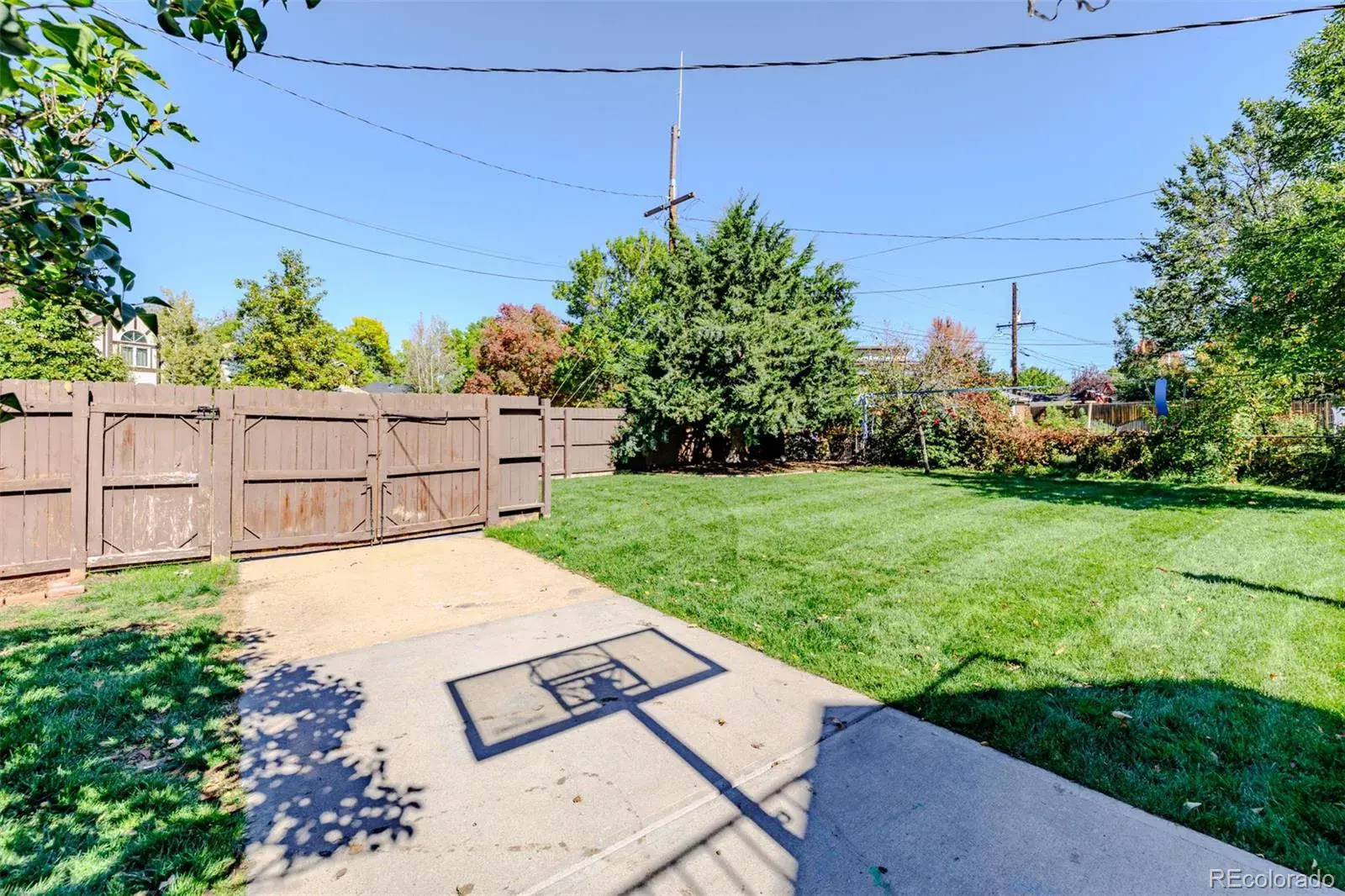 03062026212745 1600 40