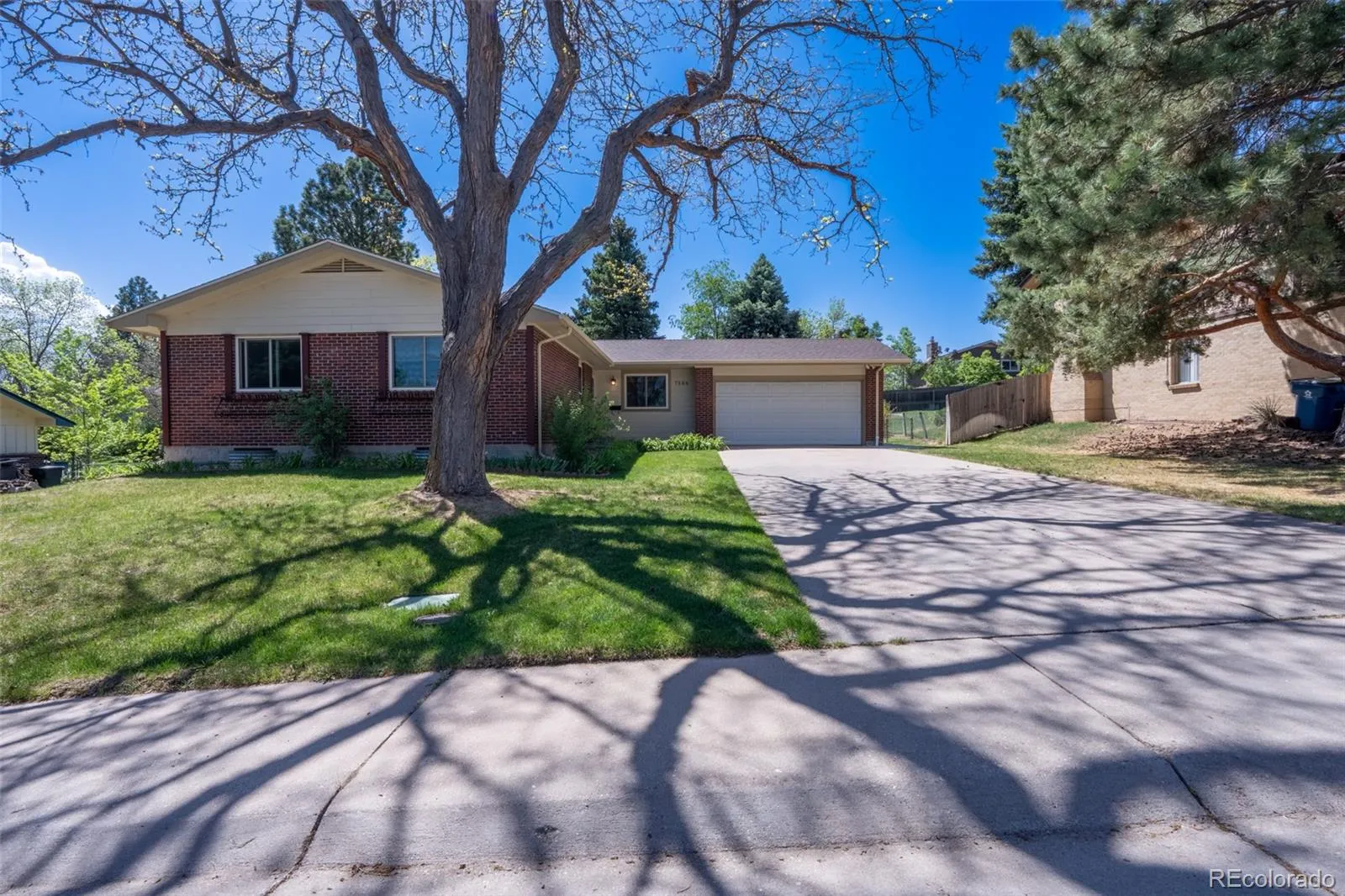 7544 E Easter Way Centennial CO 80112 MLS #REC9136980 05212026035346 1600 1