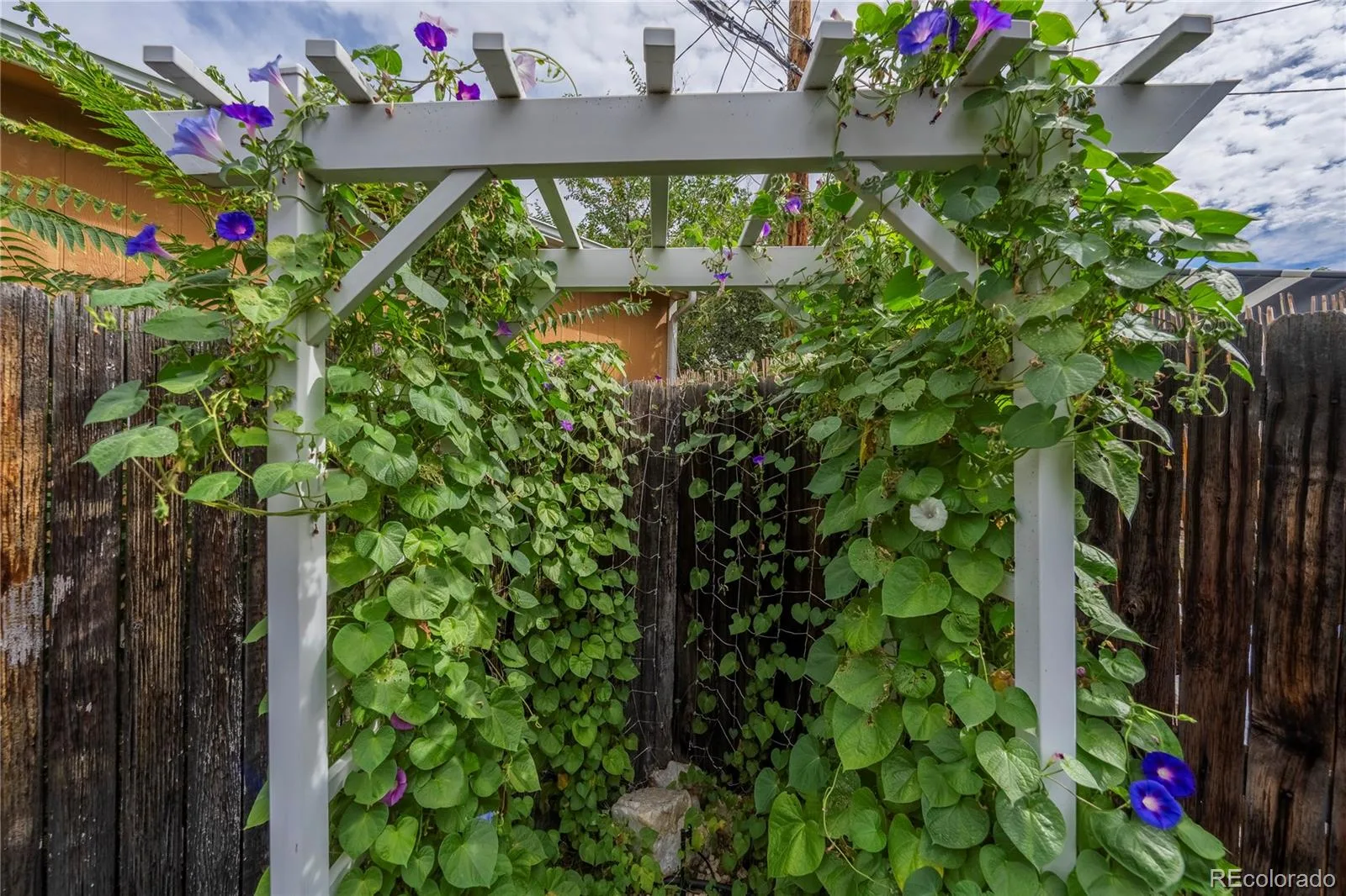 4845 E Arizona Avenue Denver CO 80246 | MLS #REC9141093 10052026175034 1600 29