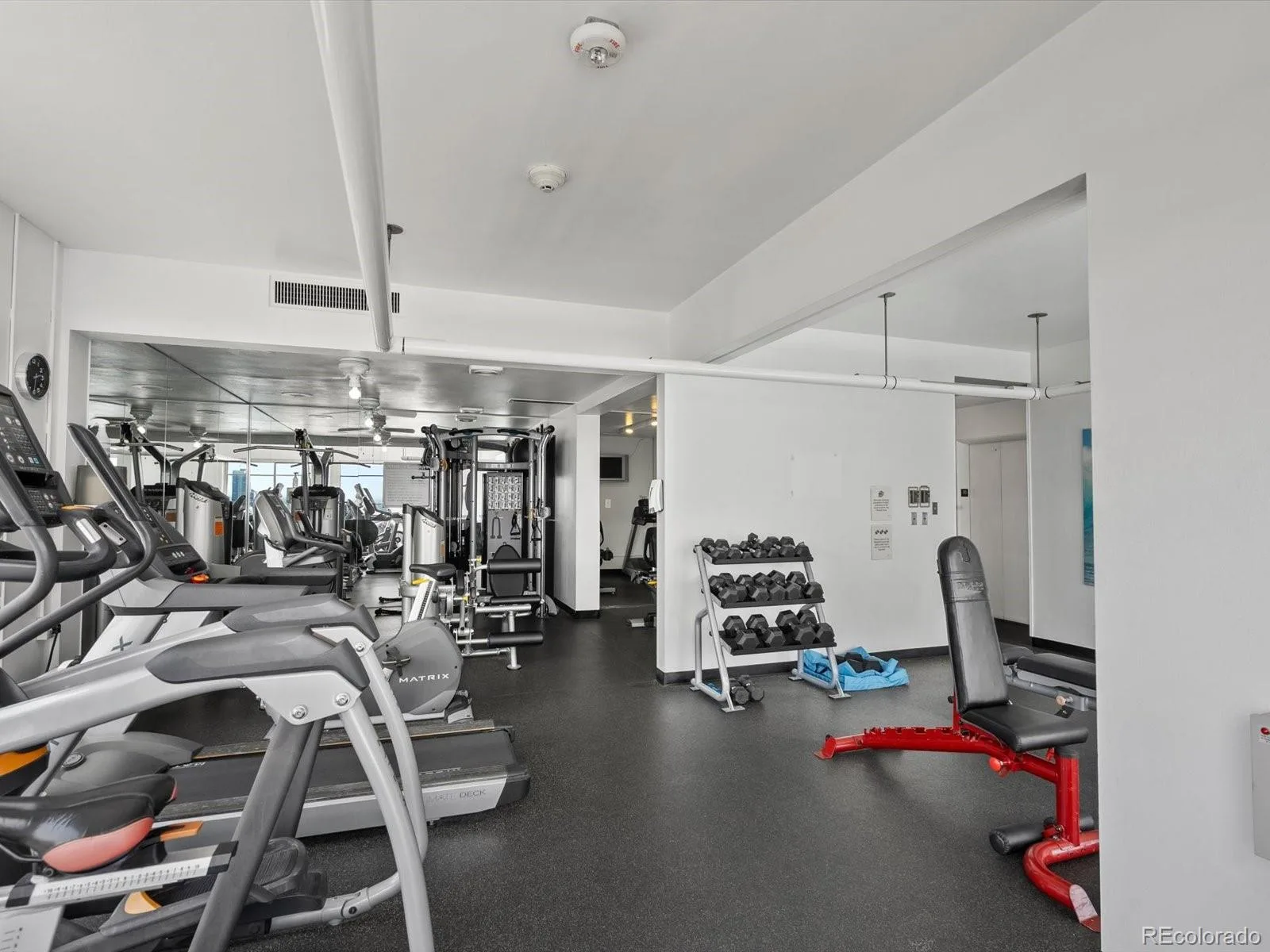 790 N Washington Street #206 Denver CO 80203 | MLS #REC9148210 07062026183508 1600 20