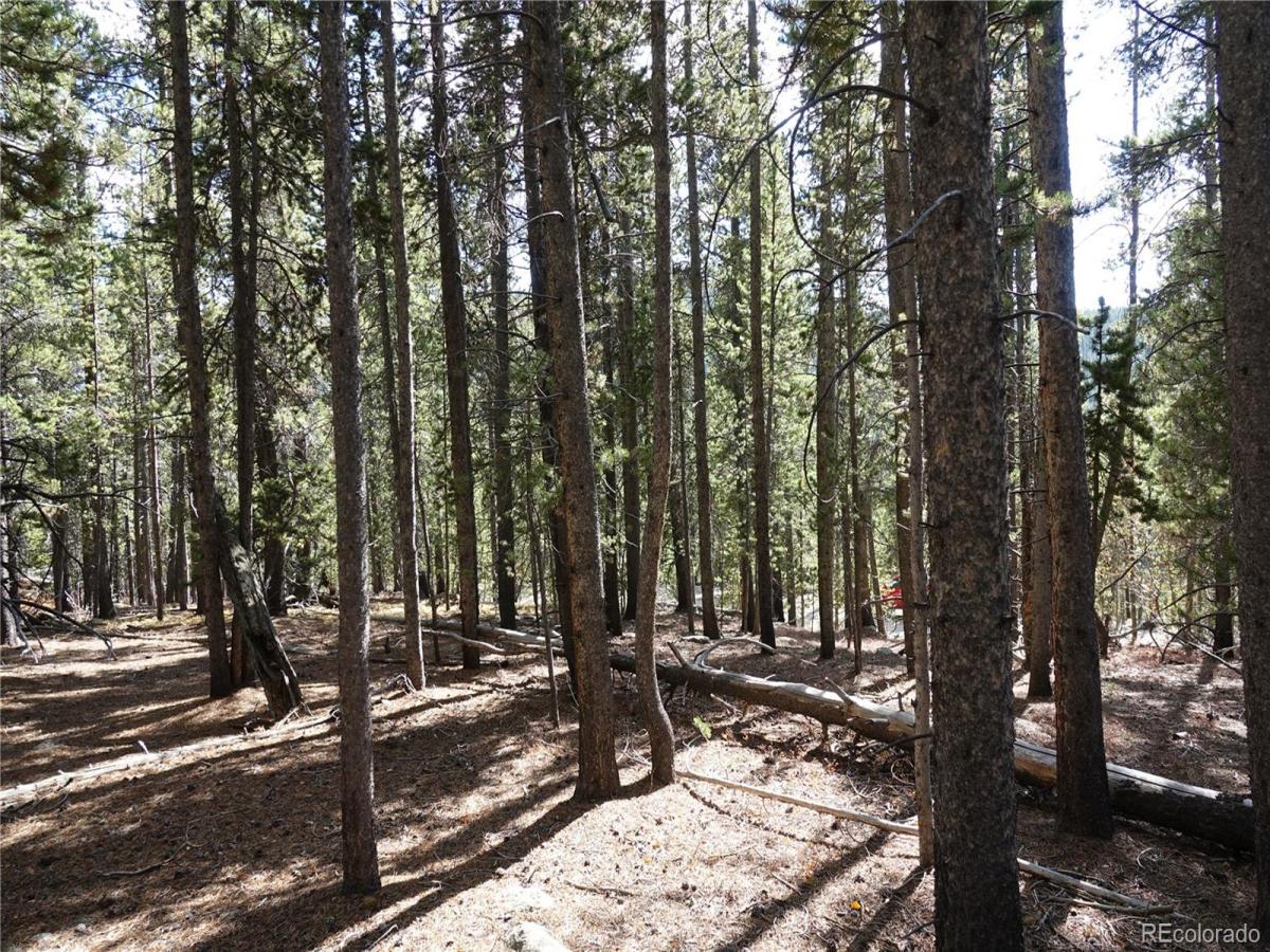 MLS #REC9148469 image #0