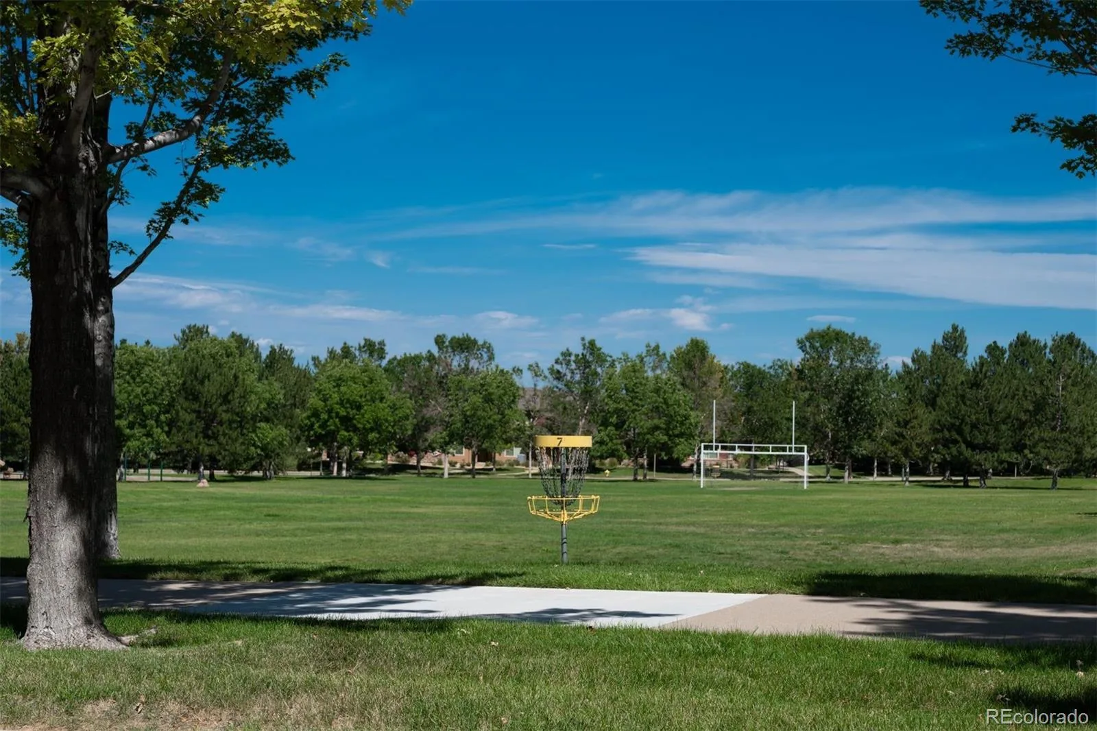 6496 Silver Mesa Drive #C Highlands Ranch CO 80130 | MLS #REC9160803 08272026152917 1600 35