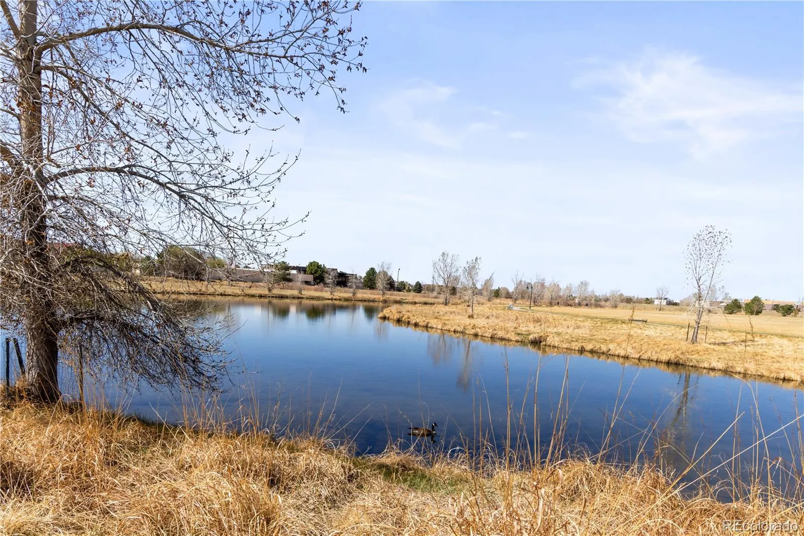 8200 E 8th Avenue #1203 Denver CO 80230 MLS #REC9162543 05182026225811 1600 22