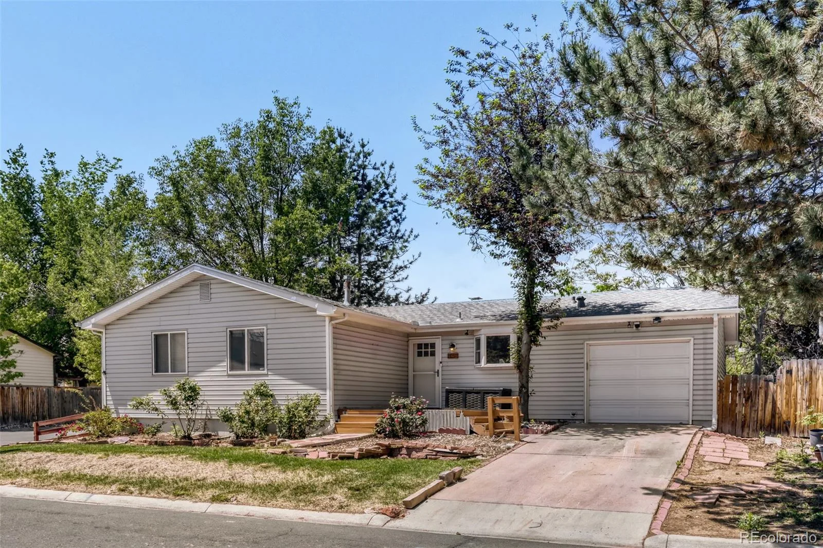 445 Hickory Place Broomfield CO 80020 | MLS #REC9166503 08112026043253 1600 1