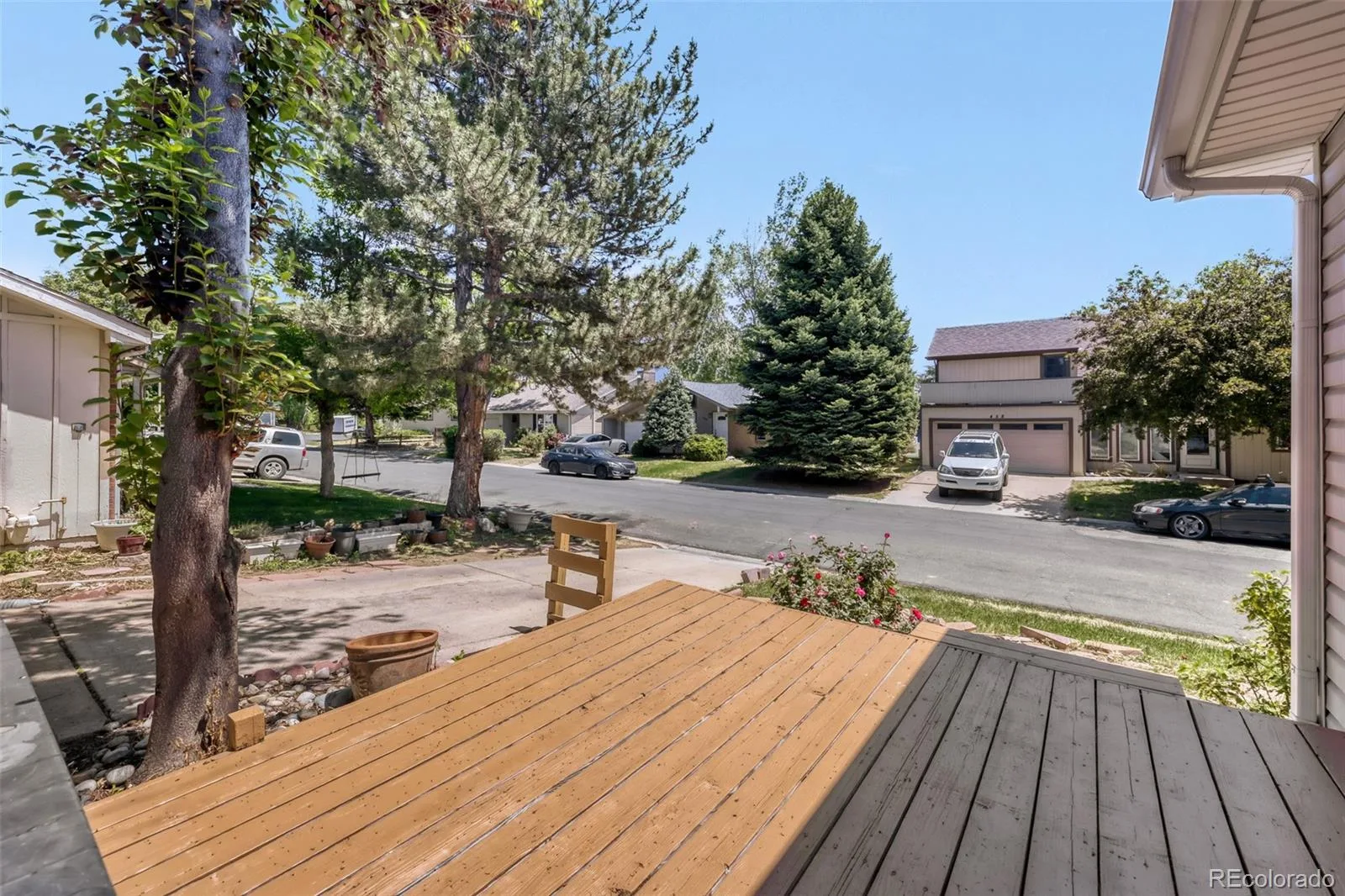 445 Hickory Place Broomfield CO 80020 | MLS #REC9166503 08112026043253 1600 2