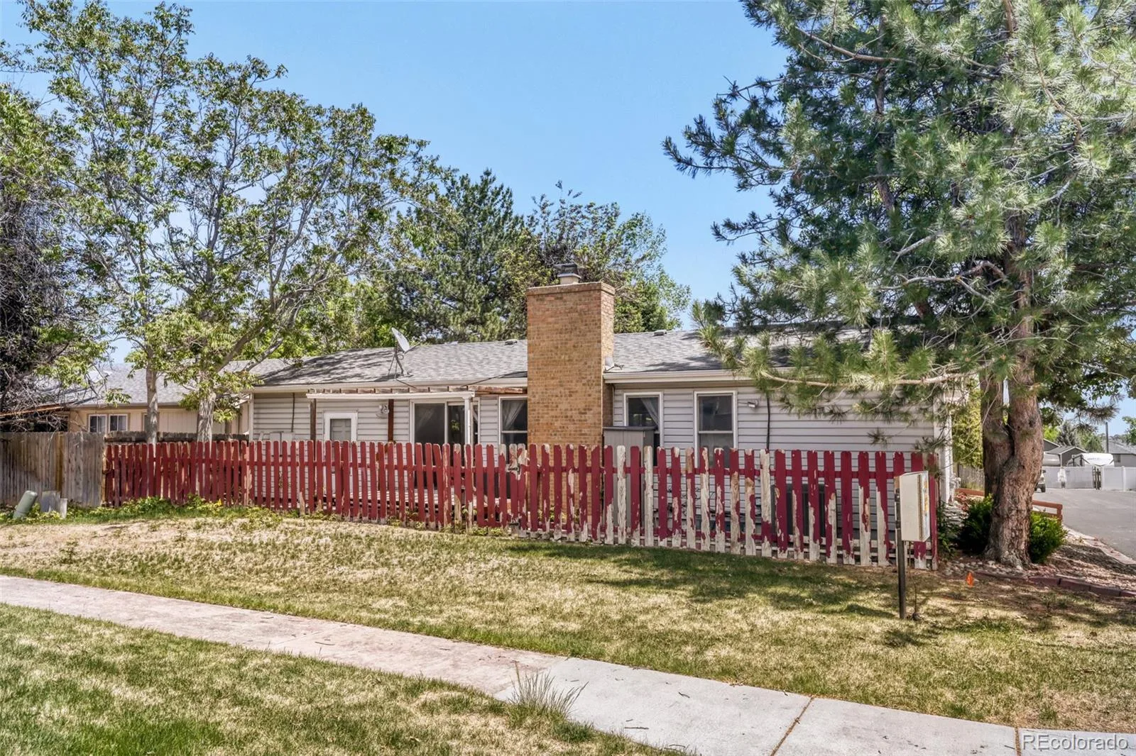 445 Hickory Place Broomfield CO 80020 | MLS #REC9166503 08112026043253 1600 27