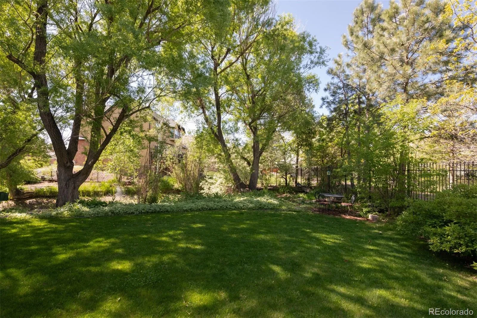3935 Pierson Street Wheat Ridge CO 80033 MLS #REC9168754 05132026224721 1600 4
