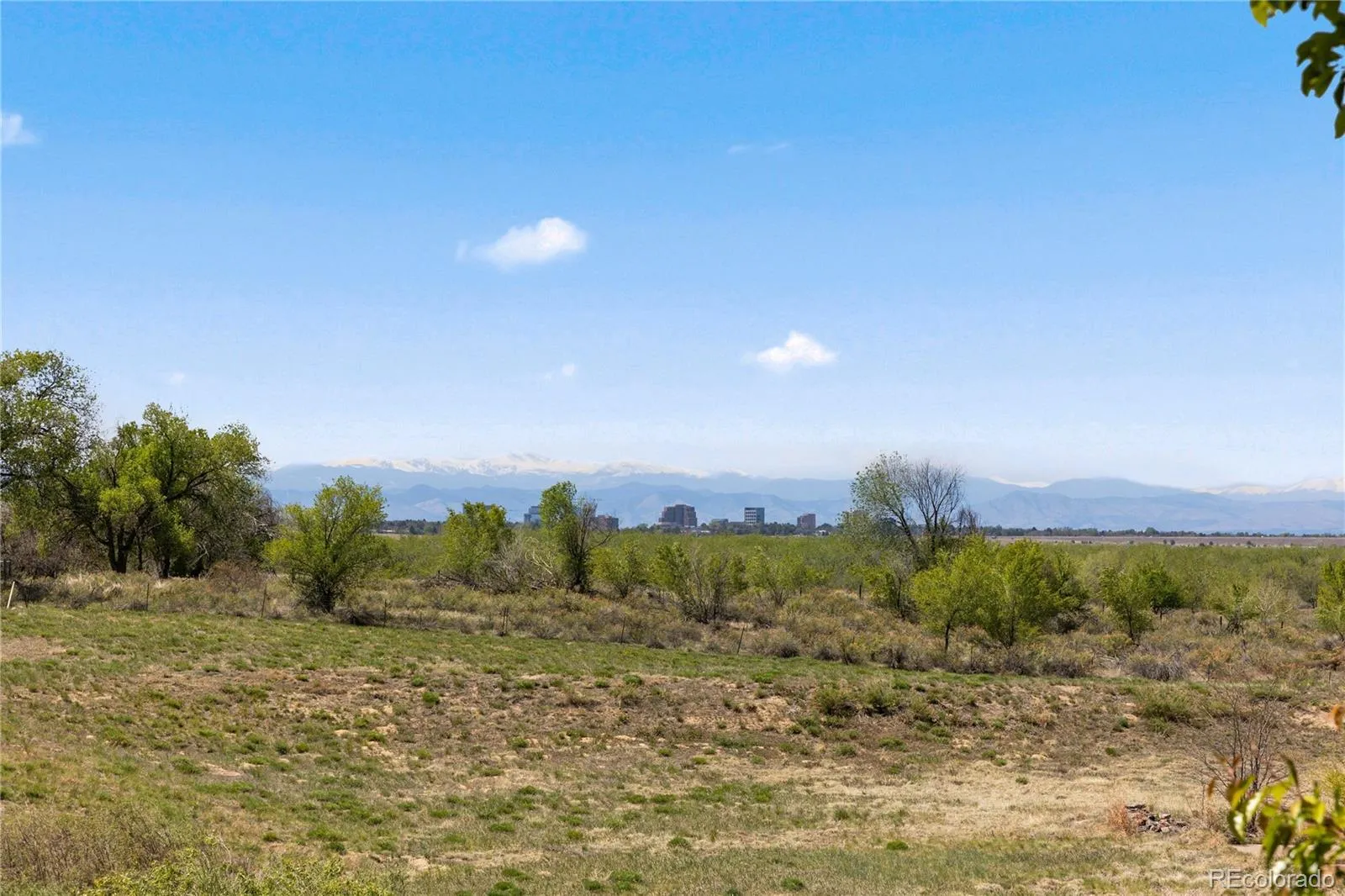 4833 S Atchison Court Aurora CO 80015 MLS #REC9186144 05202026232618 1600 31