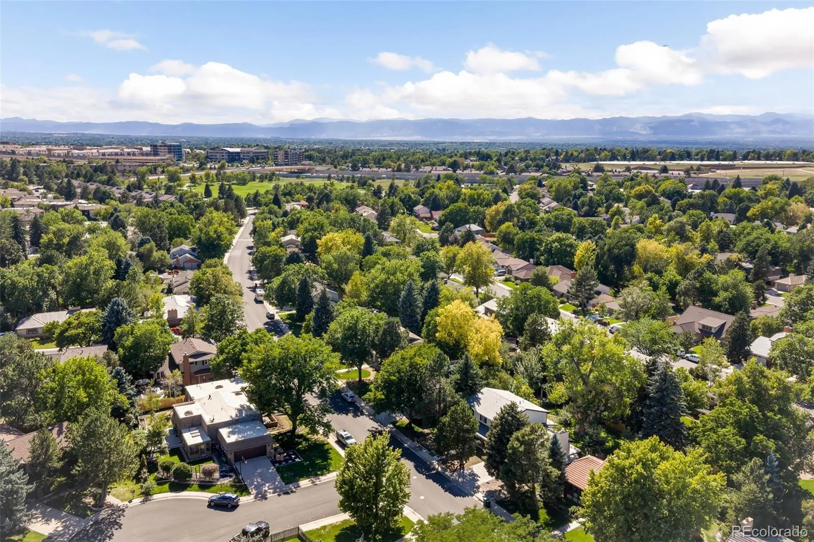 4015 S Olive Street Denver CO 80237 | MLS #REC9191927 09222026140908 1600 48