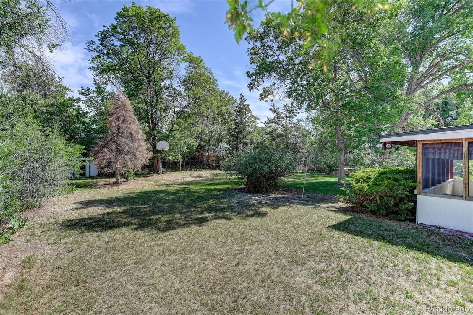 3535 W Pimlico Avenue Englewood CO 80110 MLS #REC9198377 06082026211452 1600 11