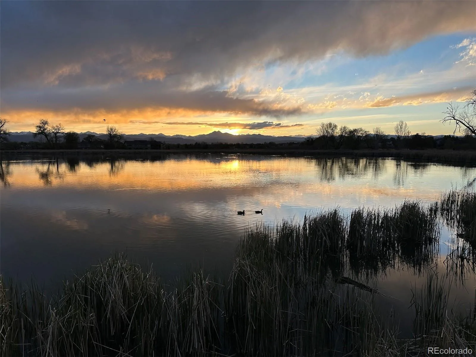 1820 Lochmore Drive Longmont CO 80504 | MLS #REC9203689 08202026215832 1600 37
