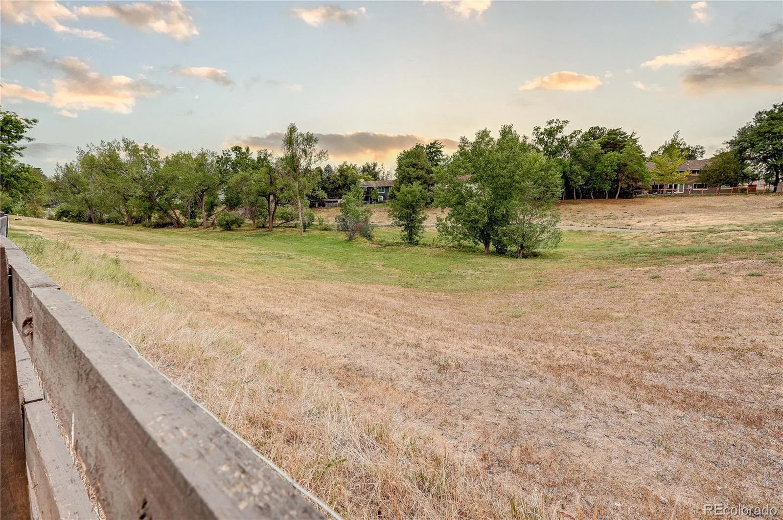 7703 S Elizabeth Way Littleton CO 80122 | MLS #REC9203744 07302026215026 1600 21