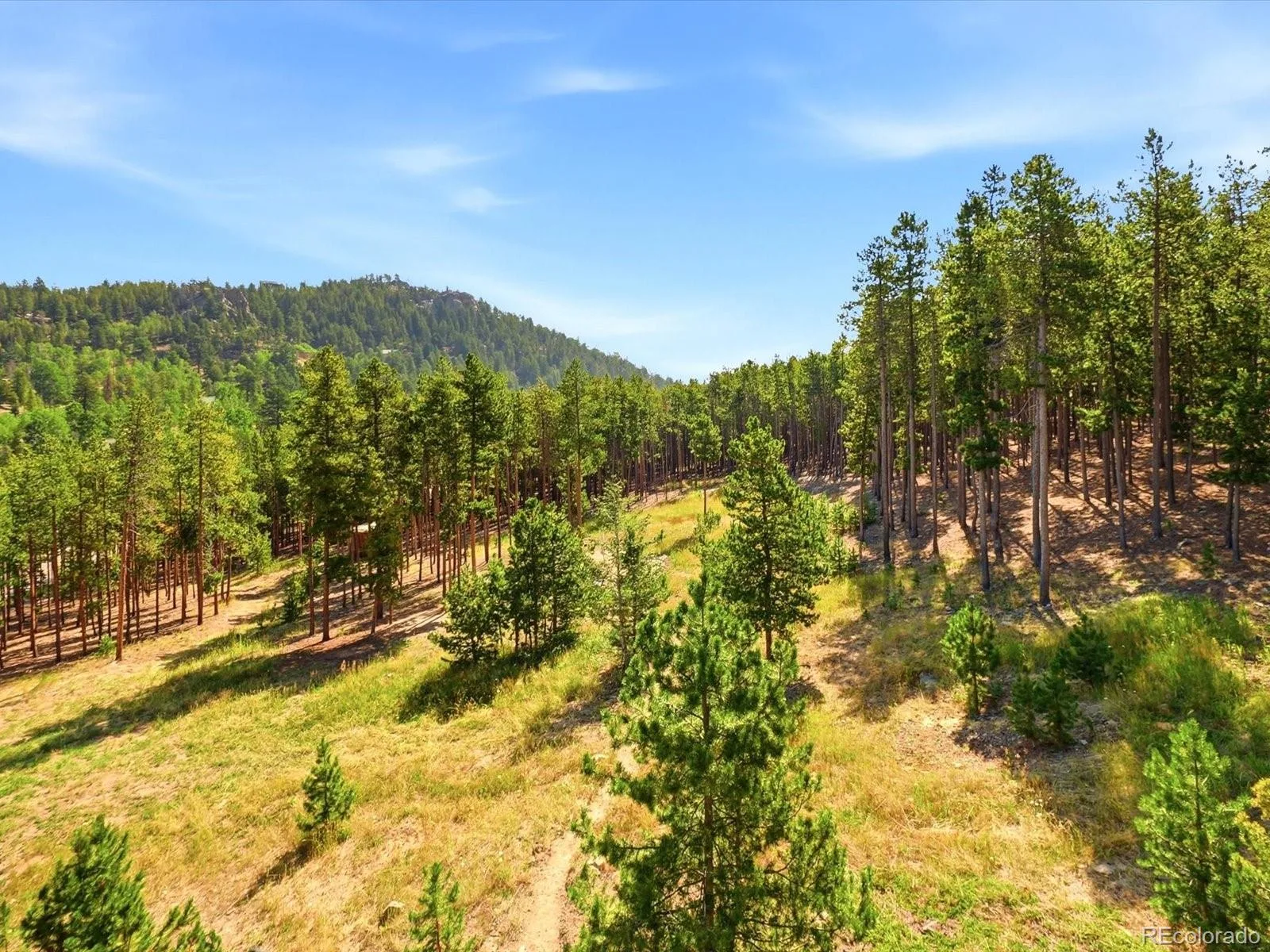 10594 Crystal Drive Morrison CO 80465 | MLS #REC9205347 08102026210456 1600 35