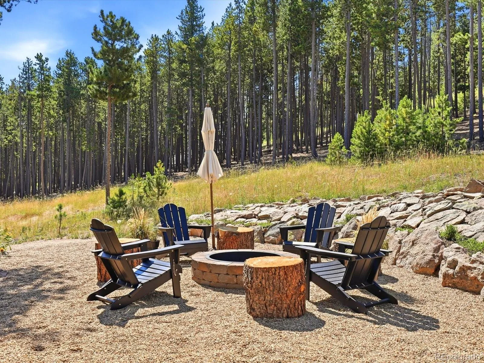 10594 Crystal Drive Morrison CO 80465 | MLS #REC9205347 08102026210456 1600 38