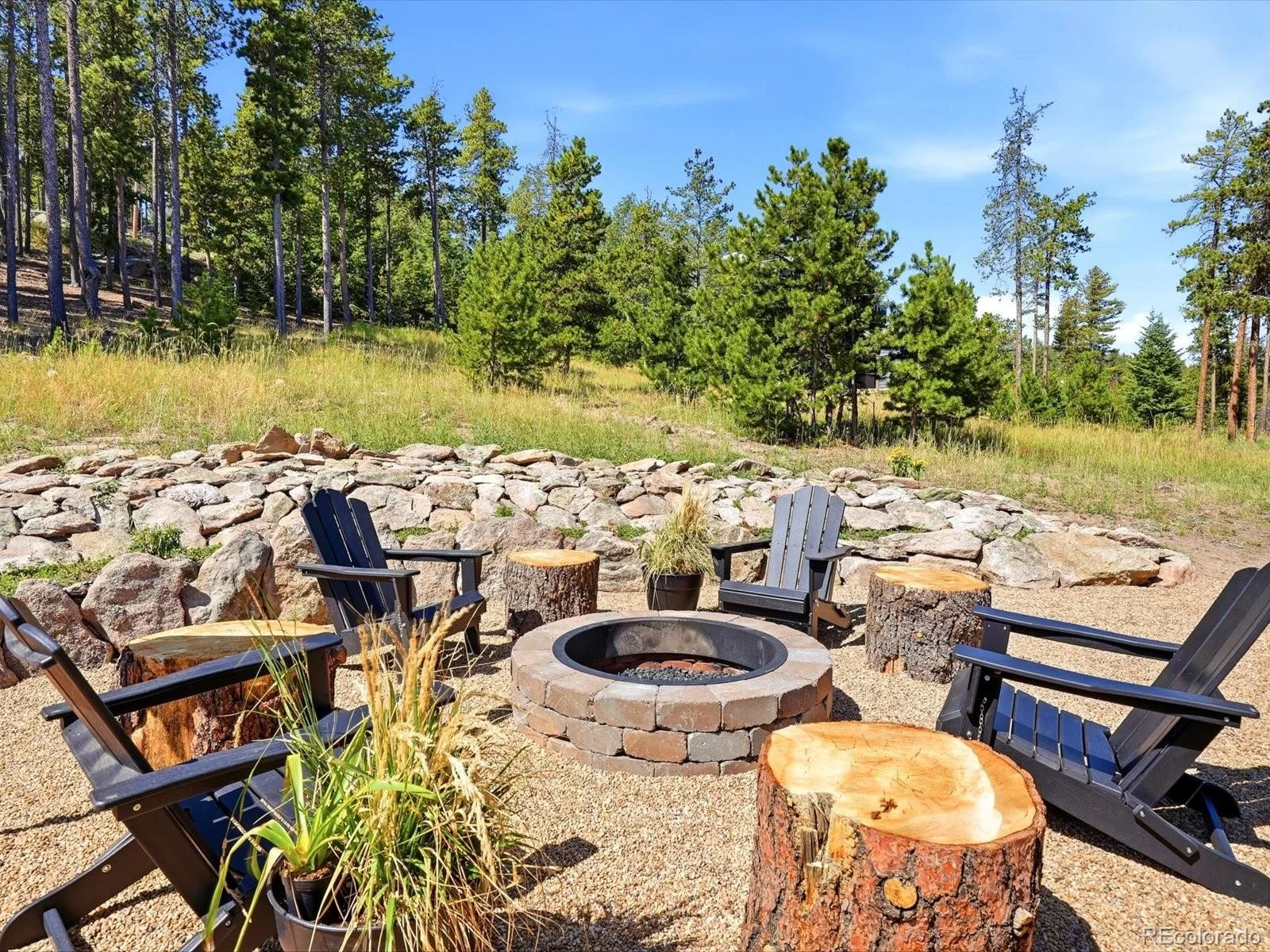 10594 Crystal Drive Morrison CO 80465 | MLS #REC9205347 08102026210456 1600 40