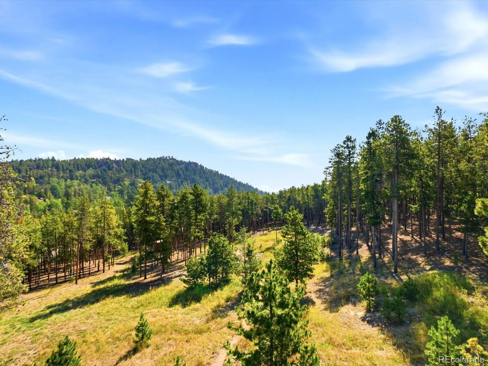 10594 Crystal Drive Morrison CO 80465 | MLS #REC9205347 08102026210456 1600 8