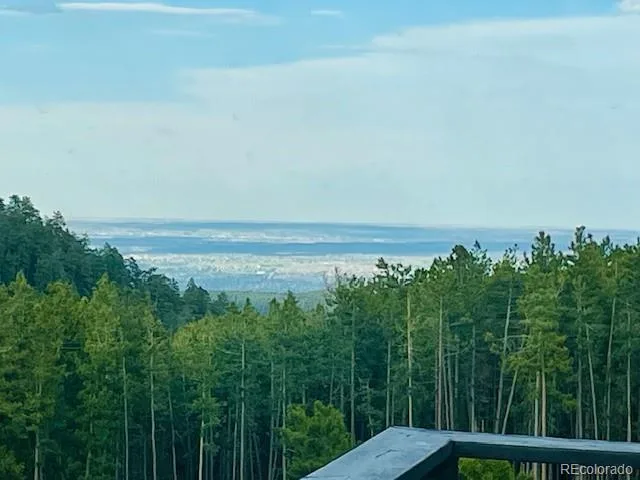 10594 Crystal Drive Morrison CO 80465 | MLS #REC9205347 08102026210456 640 42