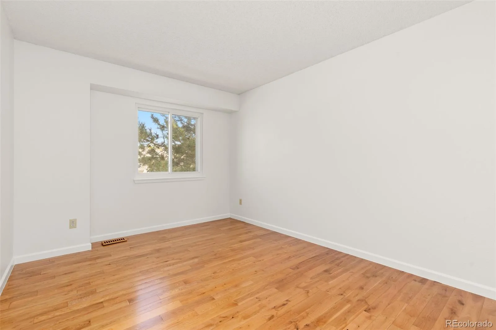 12526 W 85th Circle Arvada CO 80005 MLS #REC9206182 04232026172825 1600 24