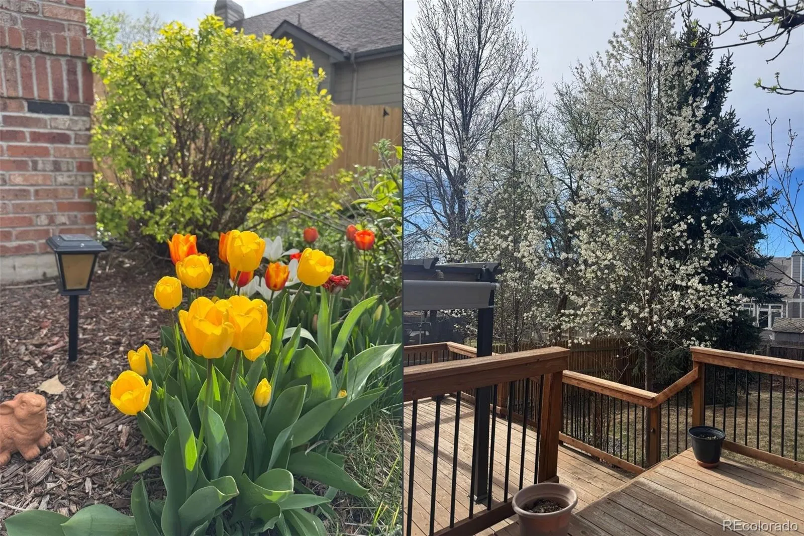 12526 W 85th Circle Arvada CO 80005 MLS #REC9206182 04232026172825 1600 47