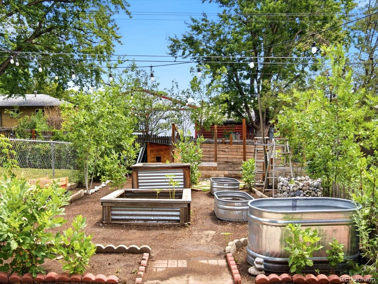 2888 S Zurich Court Denver CO 80236 MLS #REC9207275 06282026212114 1600 40