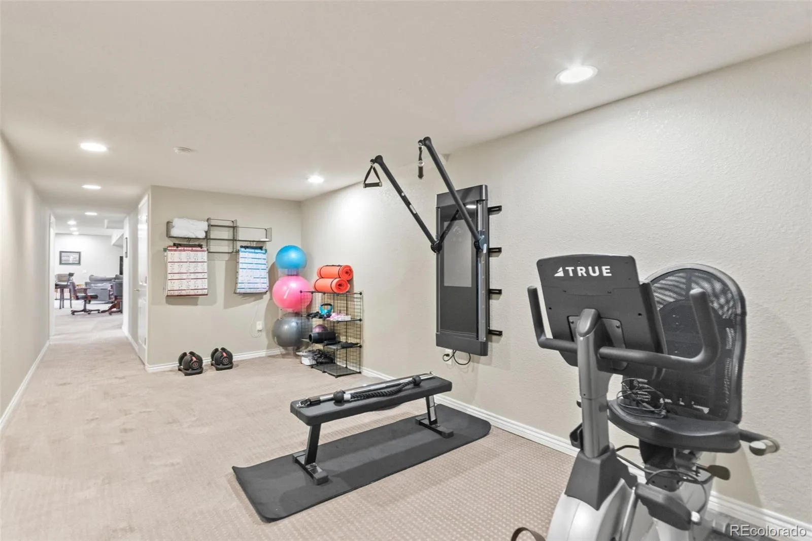 1111 Annabar Drive Castle Rock CO 80108 MLS #REC9209148 08072026004131 1600 38