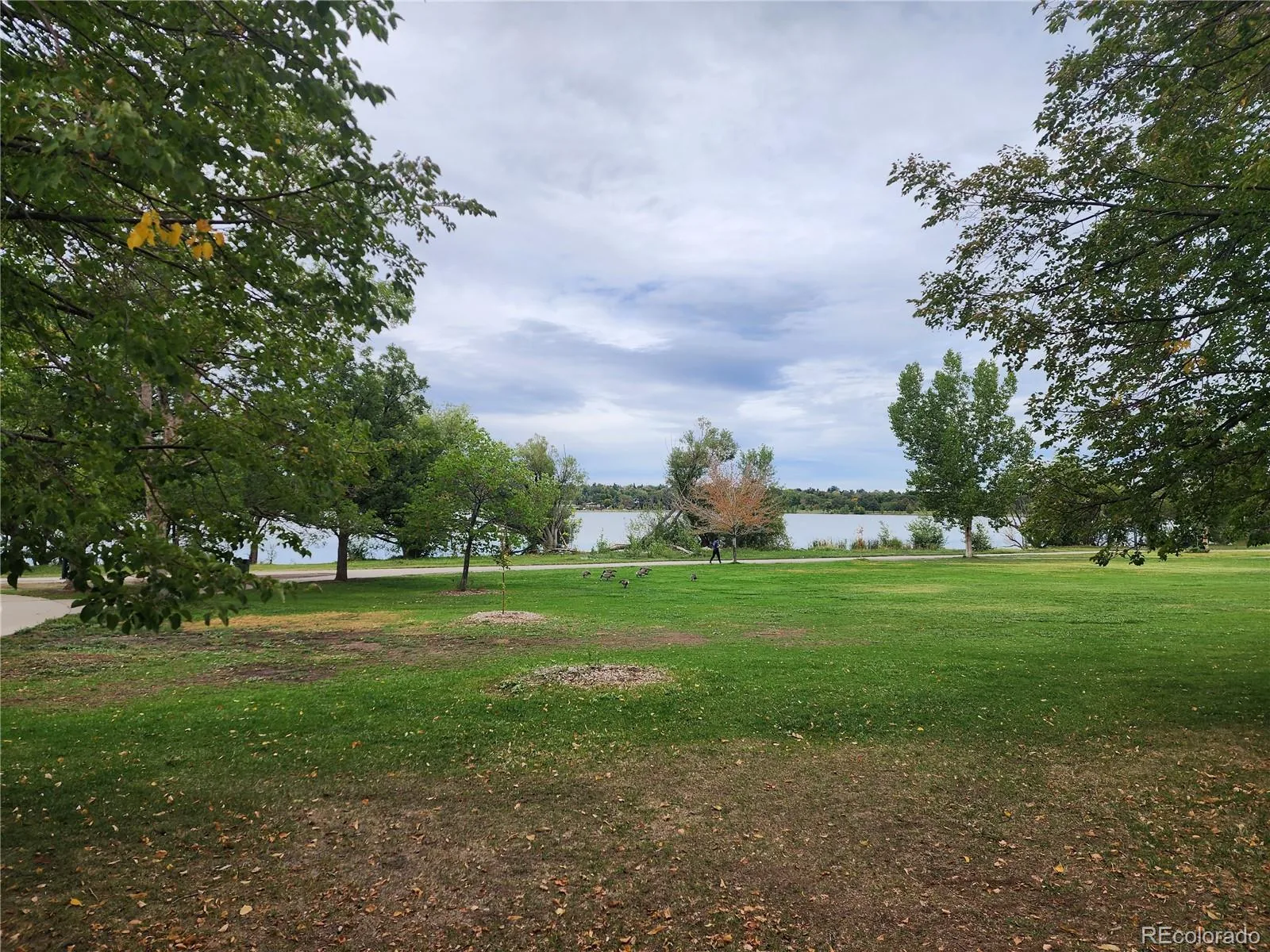 1674 Xavier Street Denver CO 80204 | MLS #REC9212906 10052026161751 1600 1