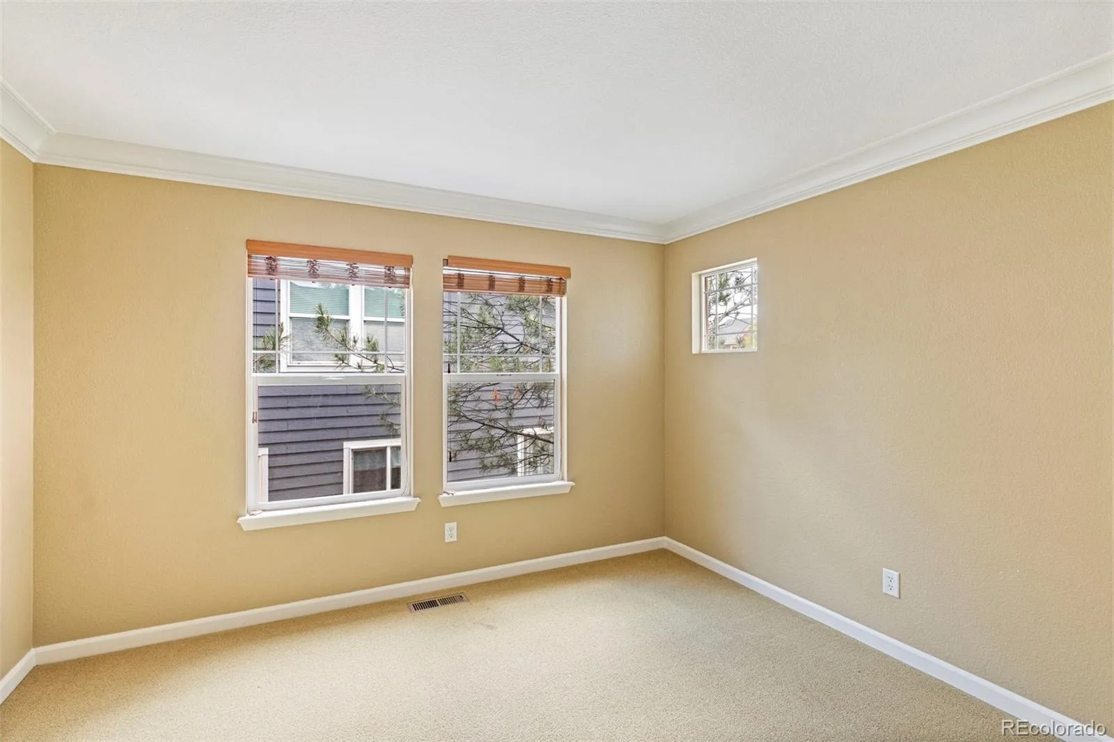 3465 Fantasy Place Castle Rock CO 80109 | MLS #REC9213412 06022026190247 1600 21