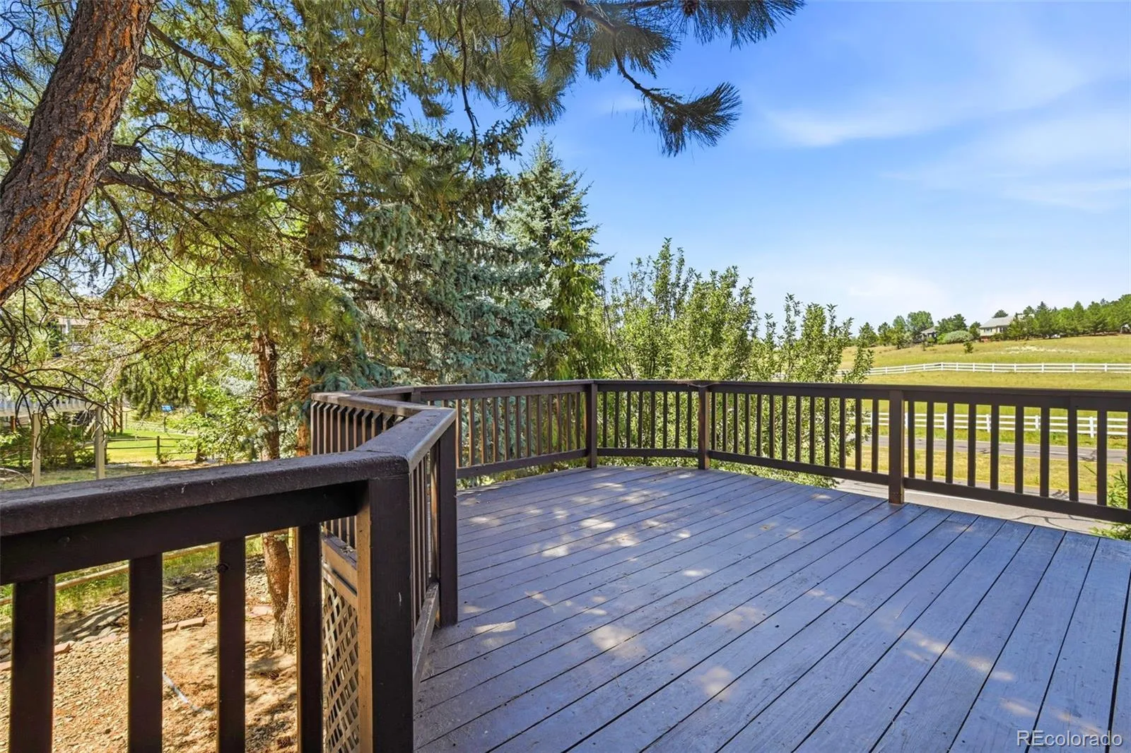 5314 Blandford Circle Parker CO 80134 | MLS #REC9217041 07242026005606 1600 41