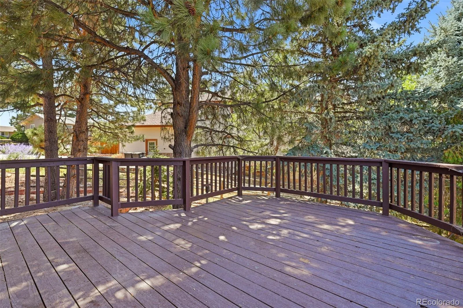 5314 Blandford Circle Parker CO 80134 | MLS #REC9217041 07242026005606 1600 42
