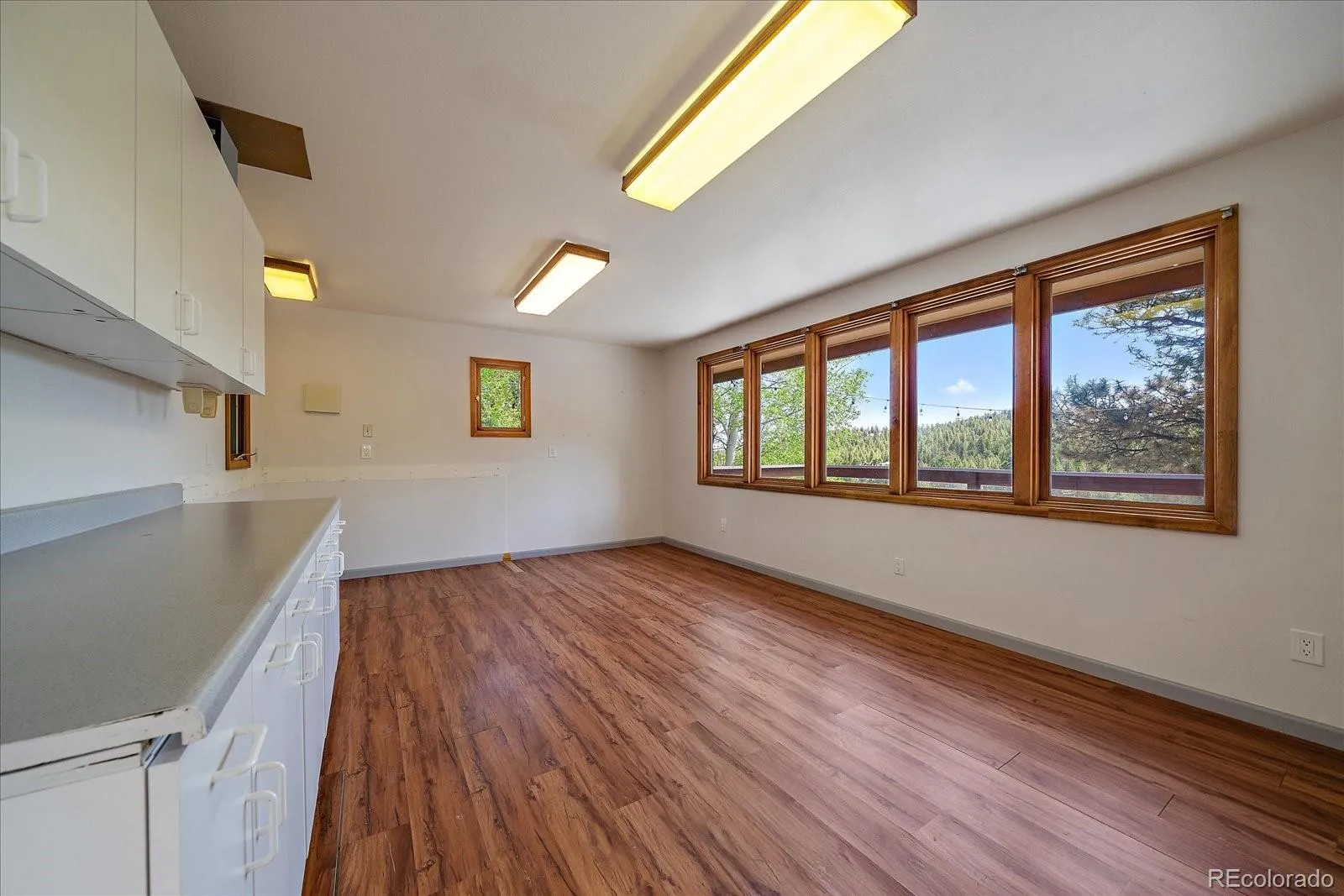 1229 Soda Creek Drive Evergreen CO 80439 | MLS #REC9217834 05262026232801 1600 40