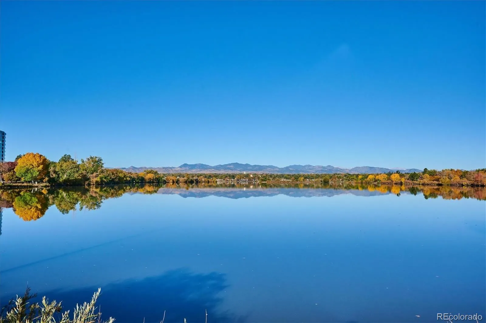 1287 Quitman Street Denver CO 80204 MLS #REC9230129 05012026173231 1600 34