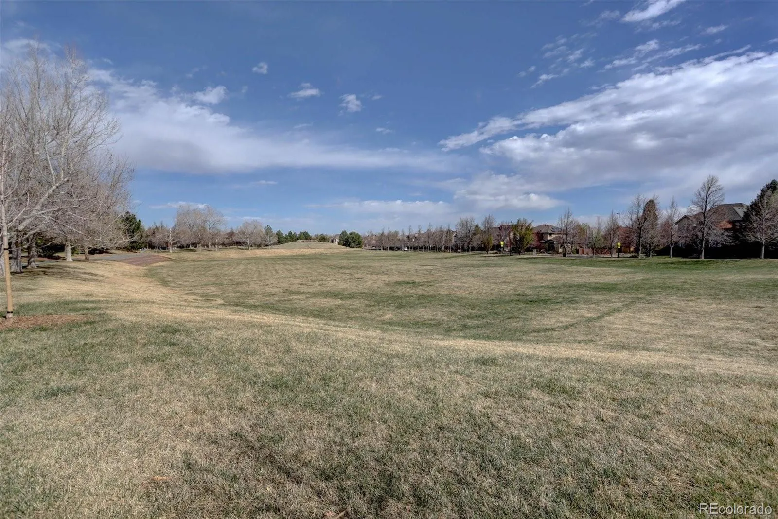 04092026162310 1600 30