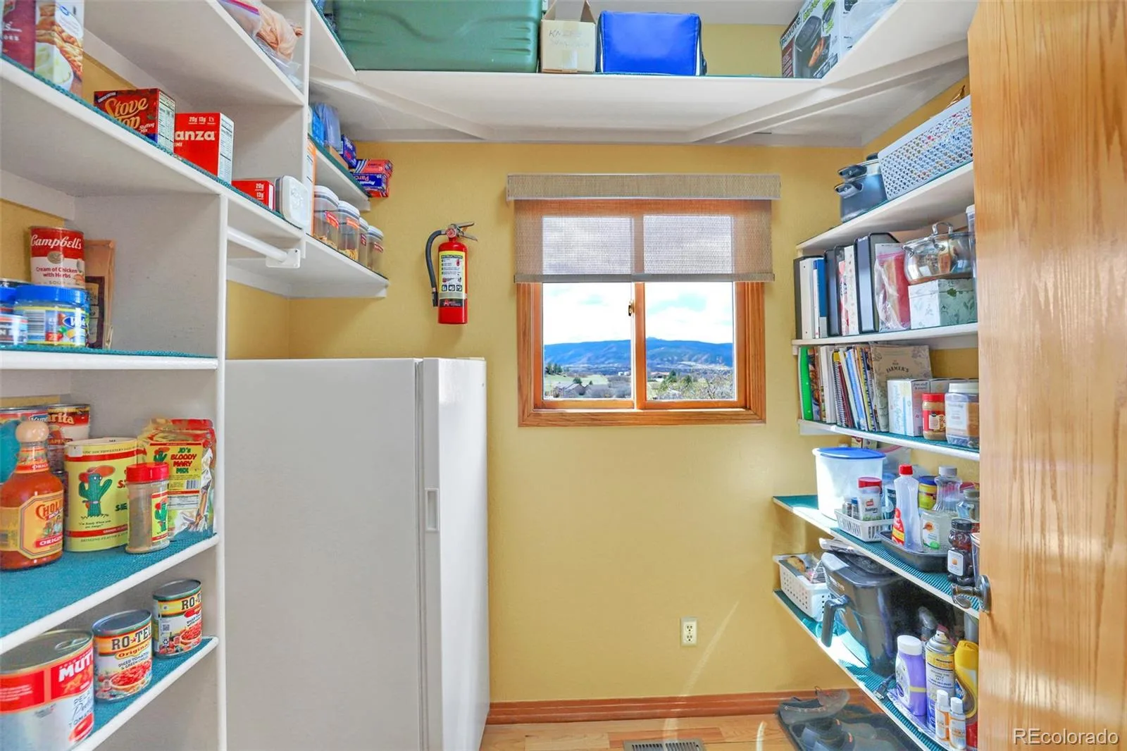 3578 Bear Canyon Circle Sedalia CO 80135 | MLS #REC9239119 06302026170808 1600 17
