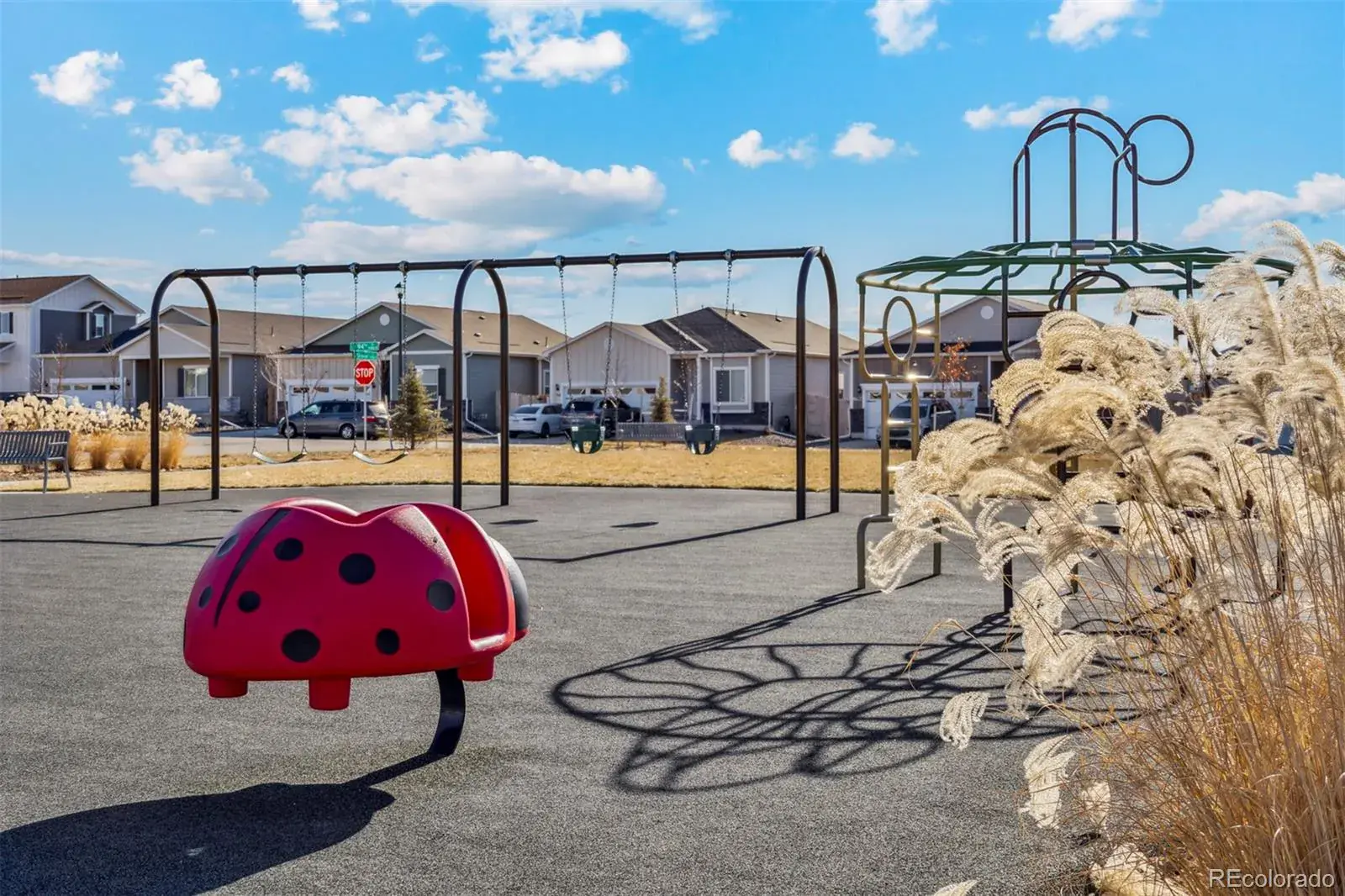 17949 E 93rd Place Commerce City CO 80022 | MLS #REC9248844 02272026171059 1600 24