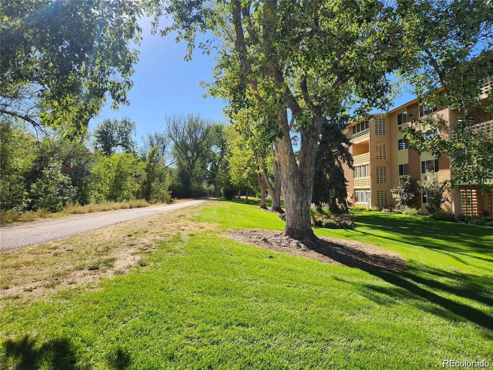 745 S Alton Way #11A Denver CO 80247 MLS #REC9250163 07212026135516 1600 20