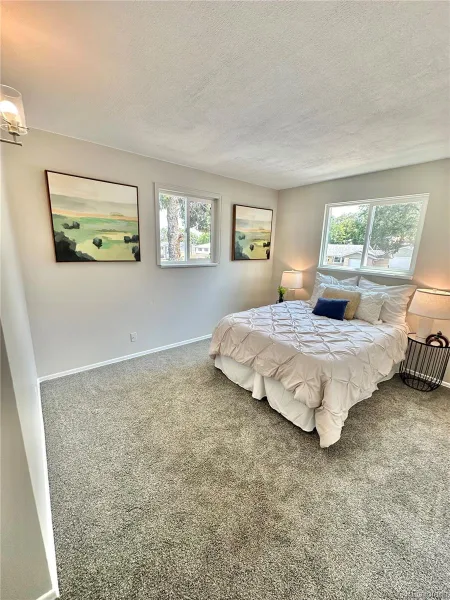 925 W 101st Avenue Denver CO 80260 | MLS #REC9252031 07032026181137 800 31
